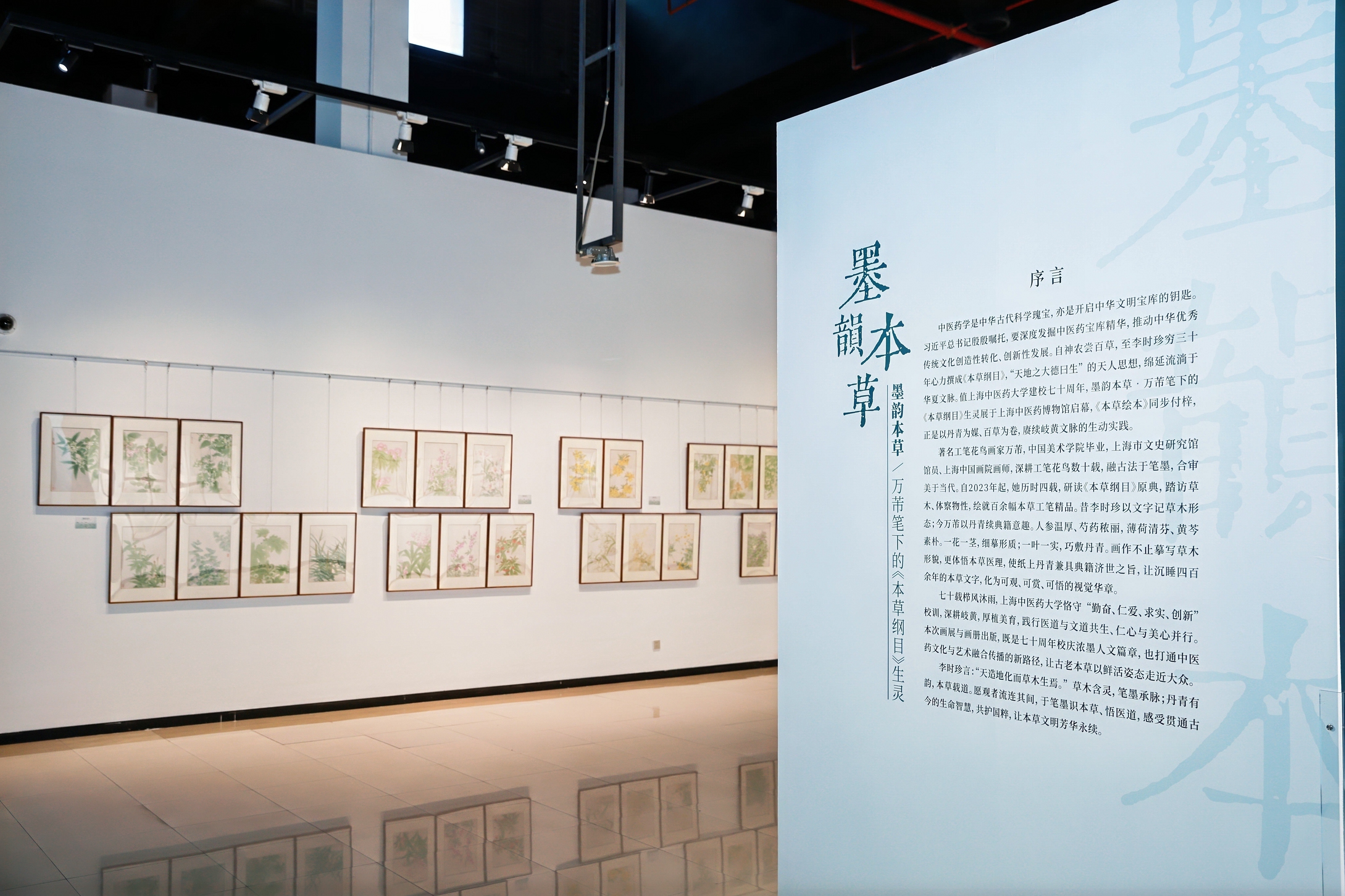 “墨韵本草”画展开幕 打通丹青与中药典籍交融的美育新路径