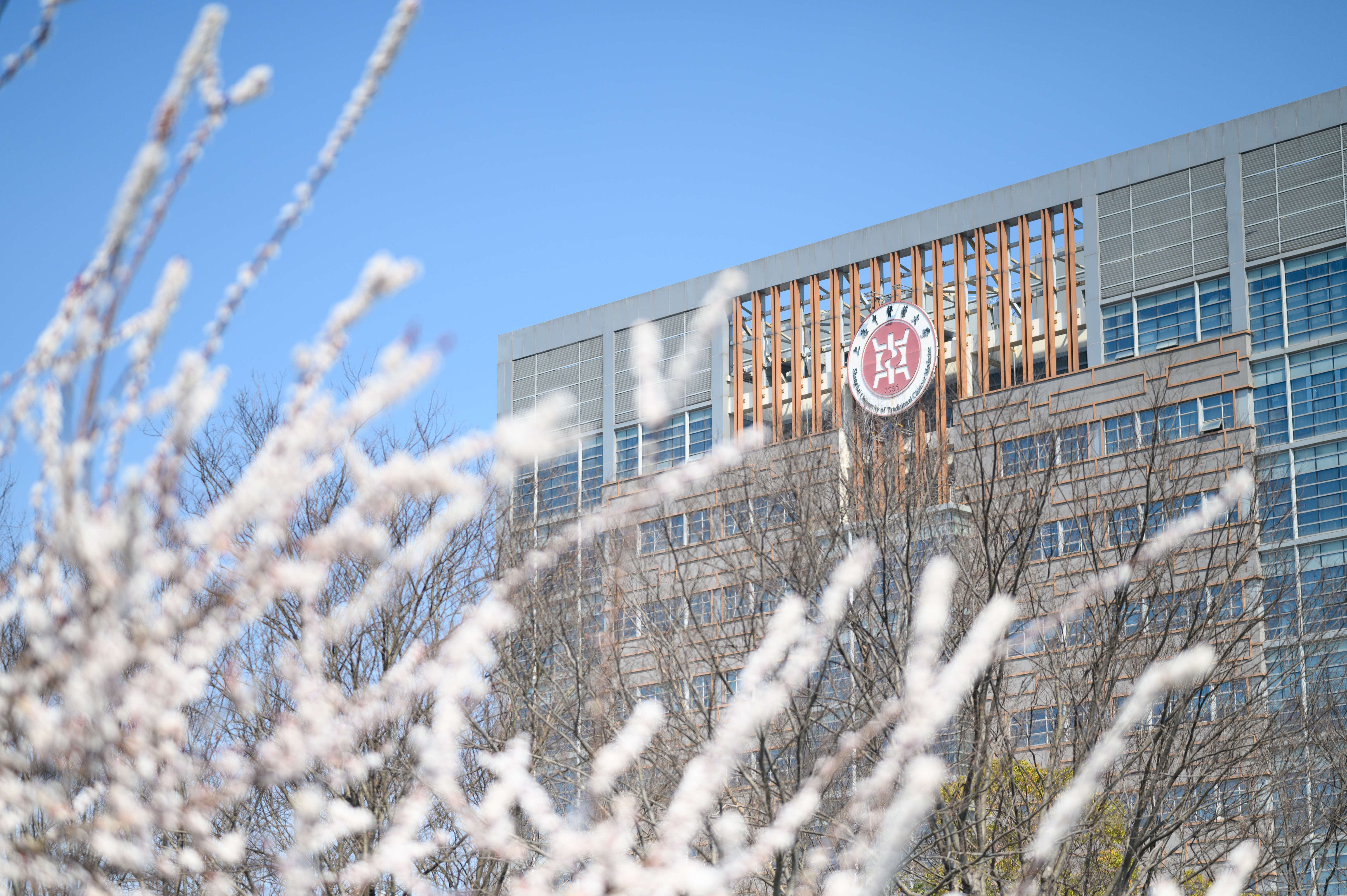 中医舌脉象术语国家标准发布