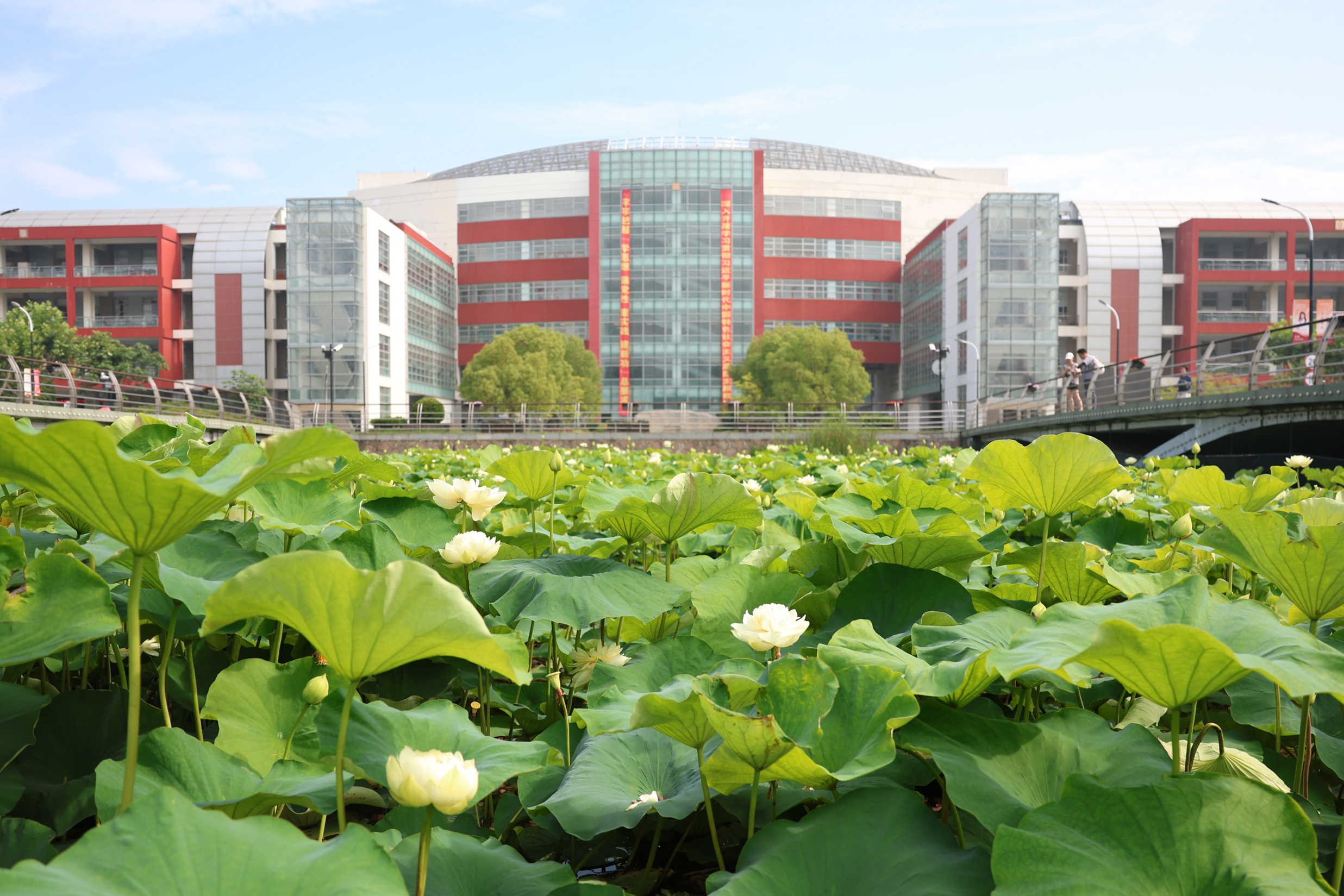 特等奖！万象城官网教师在第五届上海市高校教师教学创新大赛中获多项佳绩