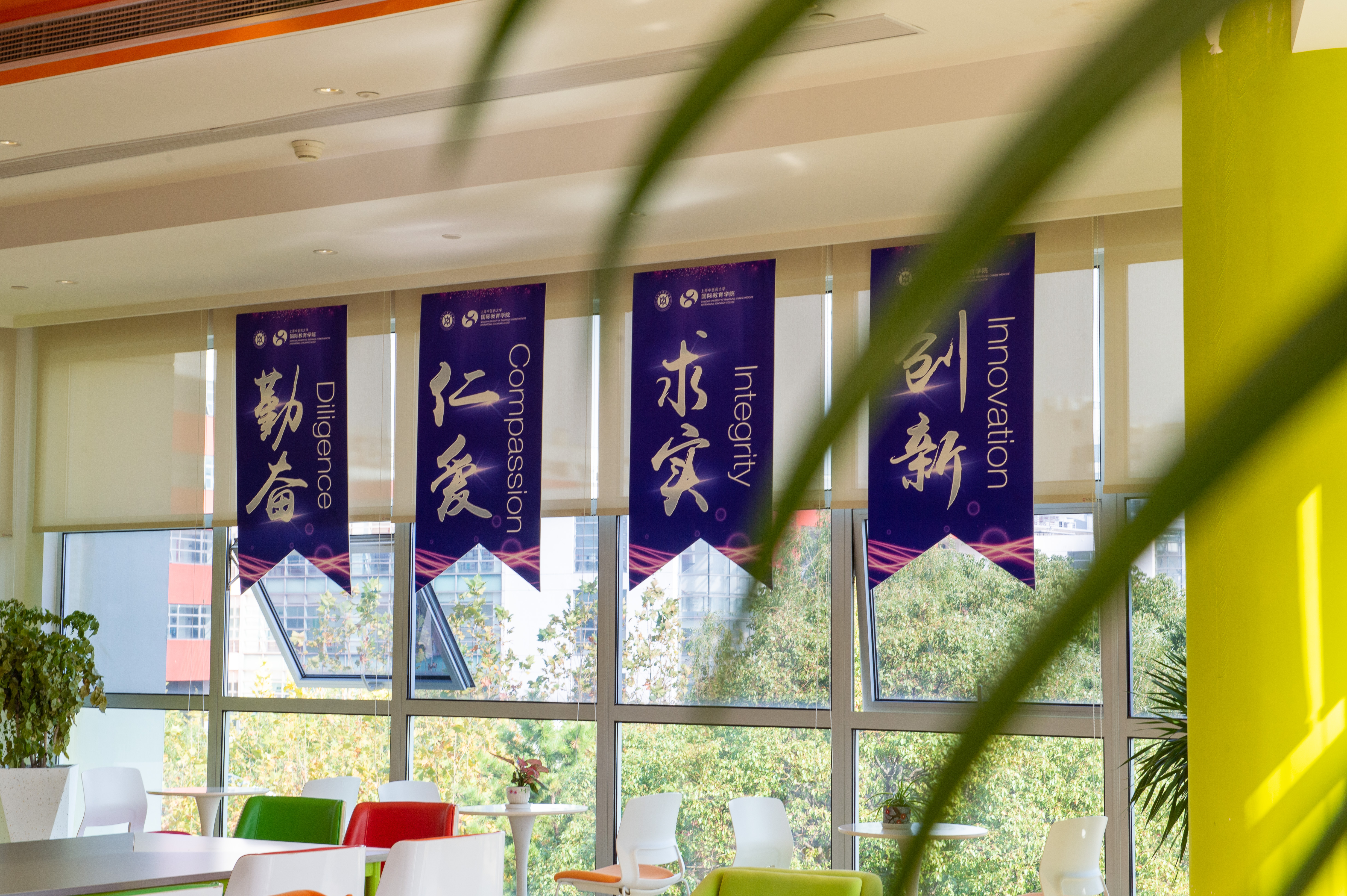 喜讯！万象城官网戴榕辰入选全国博士后创新人才支持计划