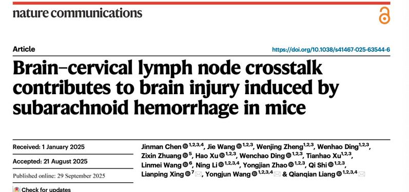 再登Nature Communications！万象城官网梁倩倩研究员、王拥军教授团队破解脑损伤病理机制