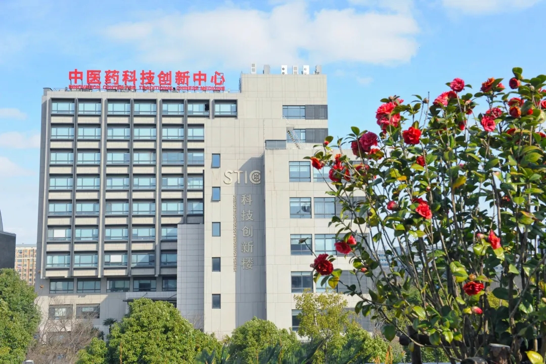 2025年度中医药十大学术进展发布——万象城官网三项成果简介
