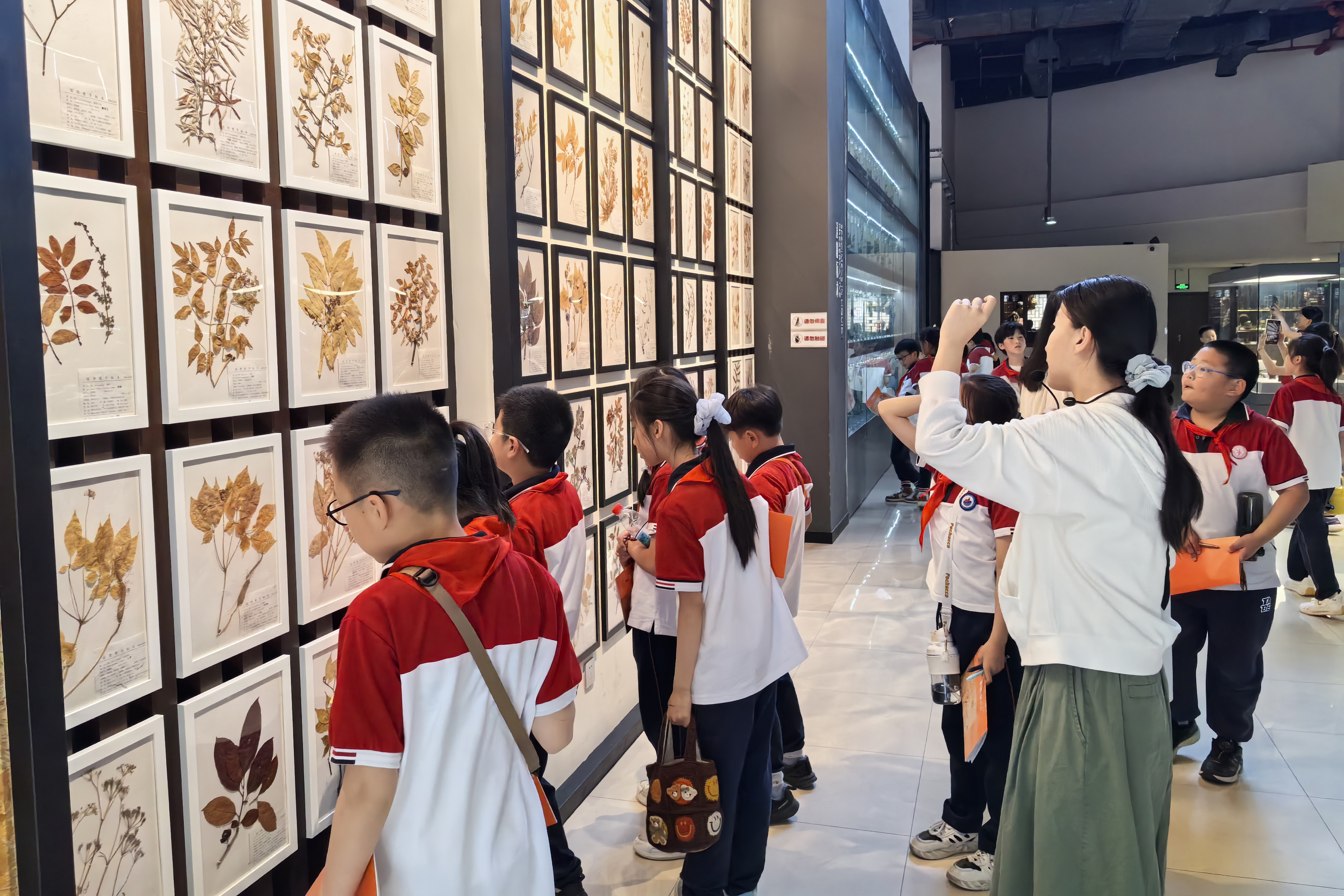 馆校合作首期青少年中医药科创教育师资培训班举行