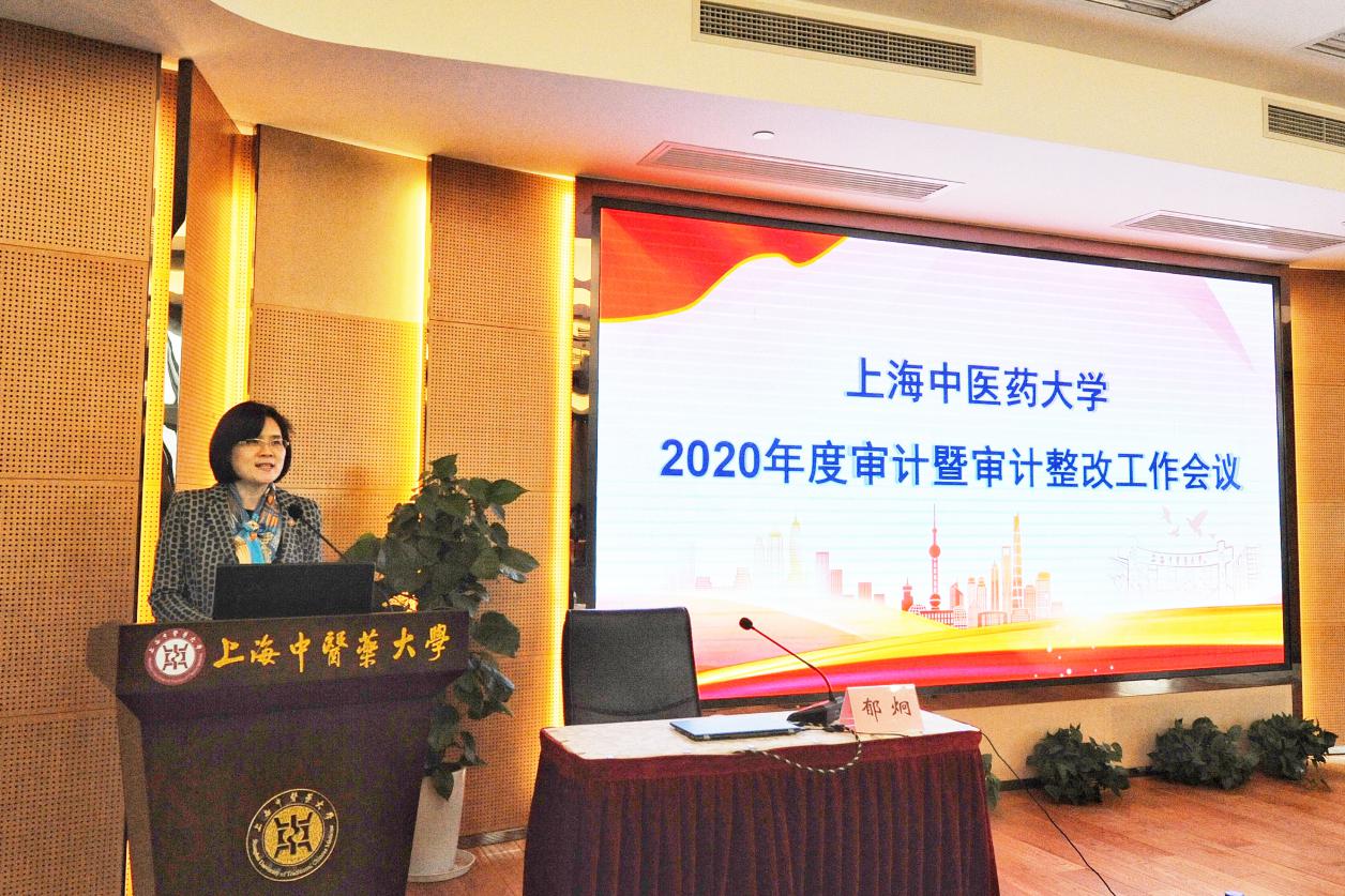 万象城官网召开2020年度审计暨审计整改工作会议