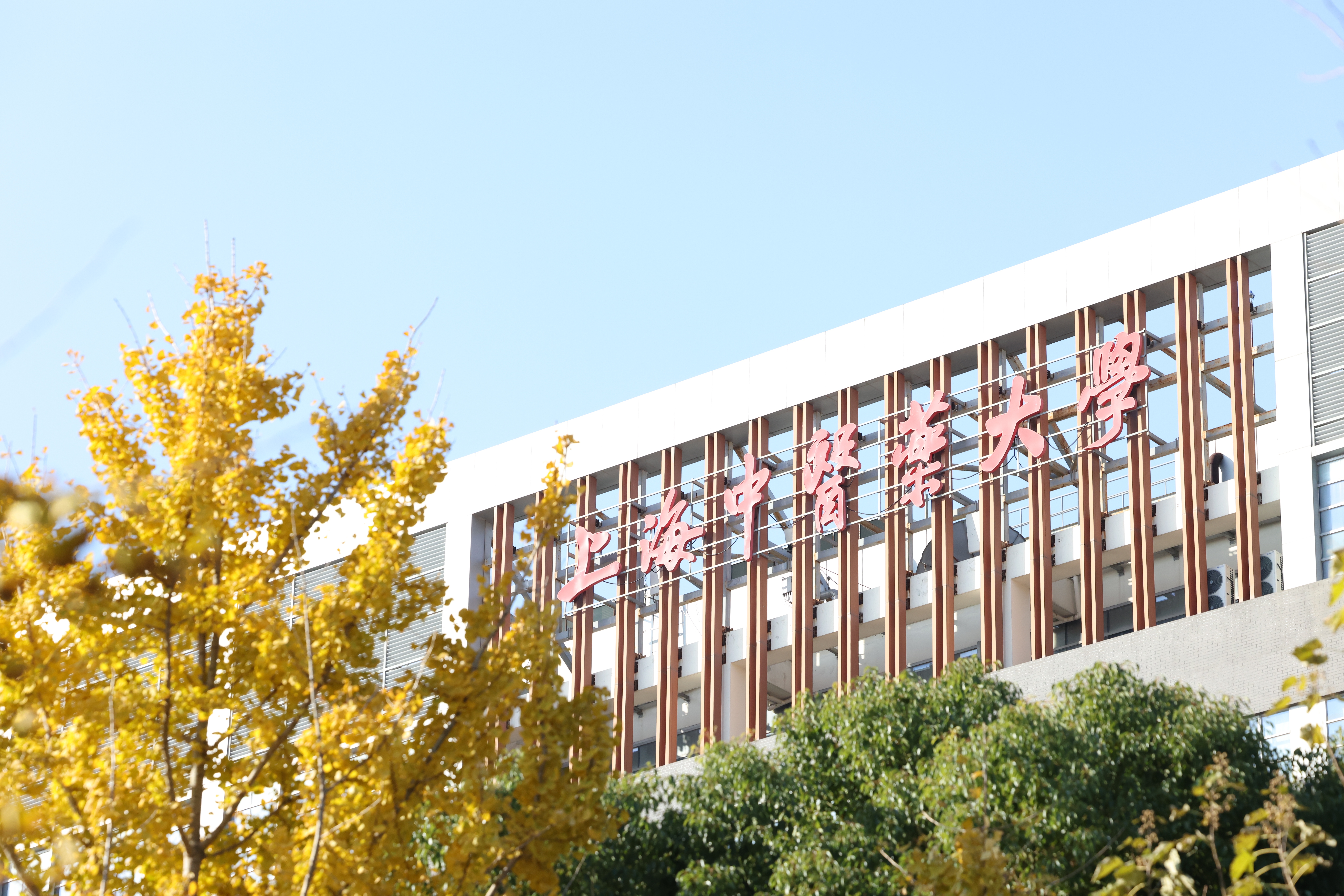 万象城官网专家委员会召开“十五五”规划研讨会