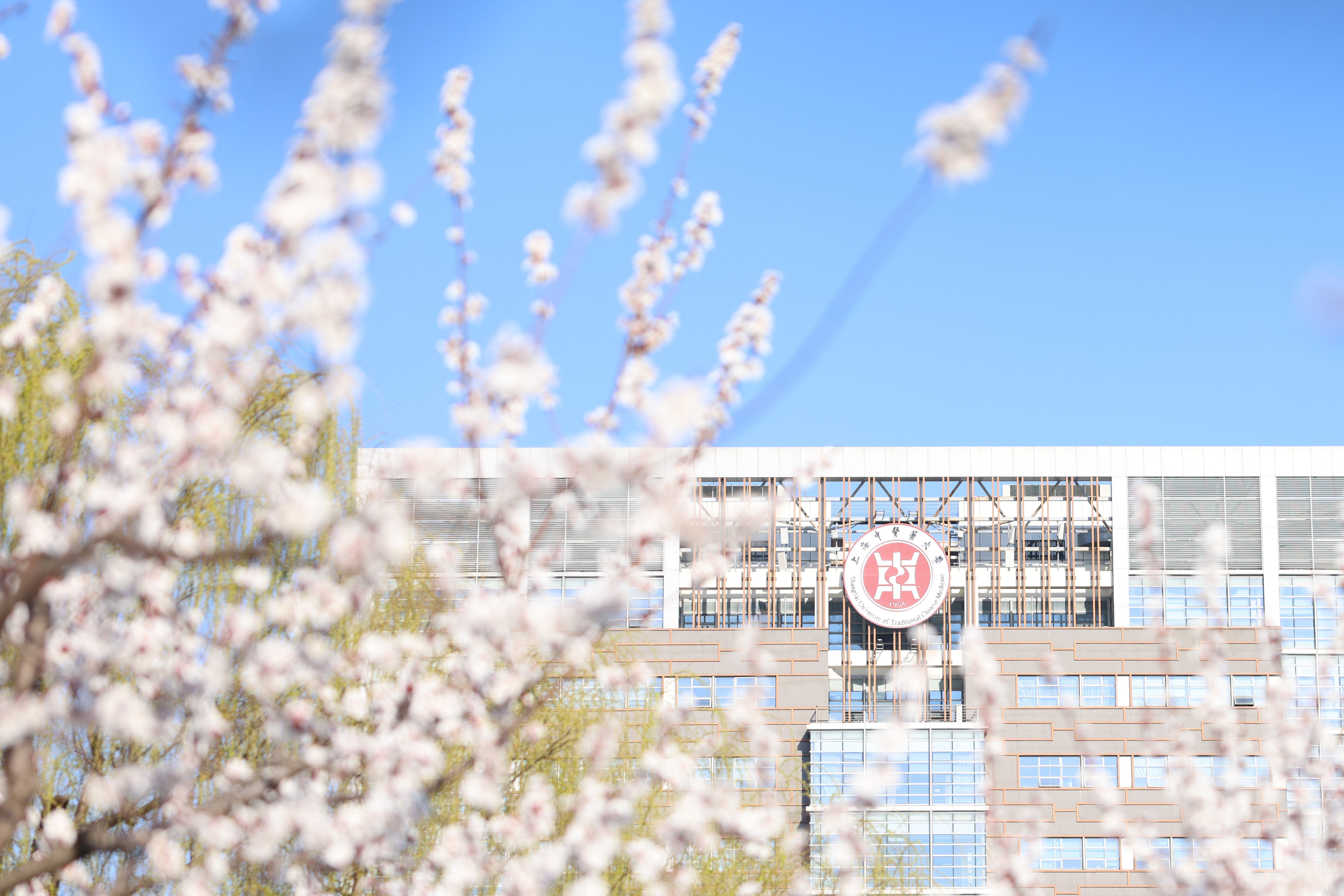 万象城官网10部教材入选“十四五”普通高等教育本科国家级规划教材