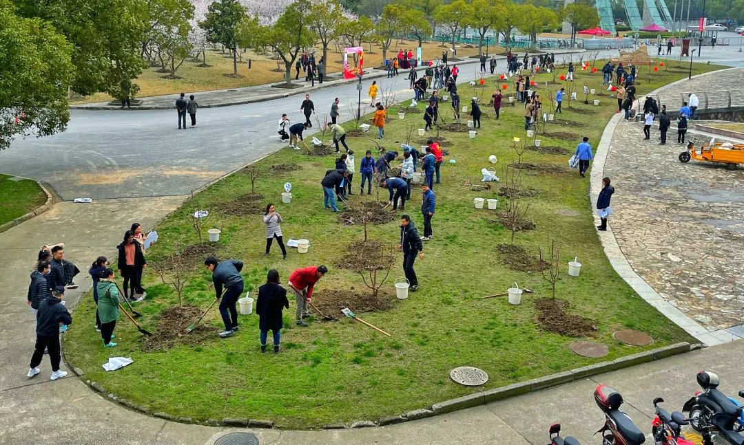 喜迎建党百年，共植杏林春景，万象城官网举行百名师生党员植栽杏树活动