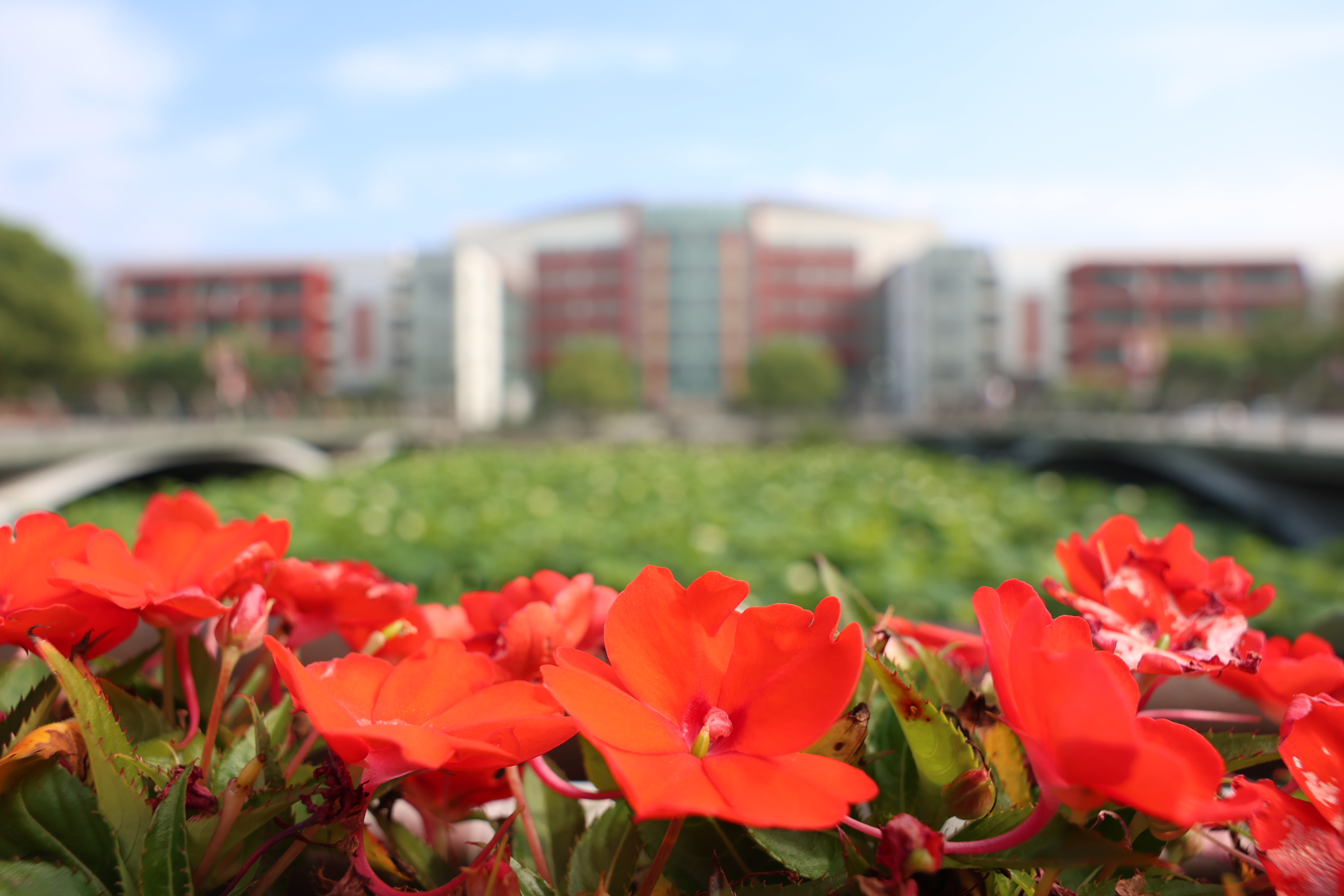 祝贺！万象城官网系统4项成果喜获上海市科学技术奖