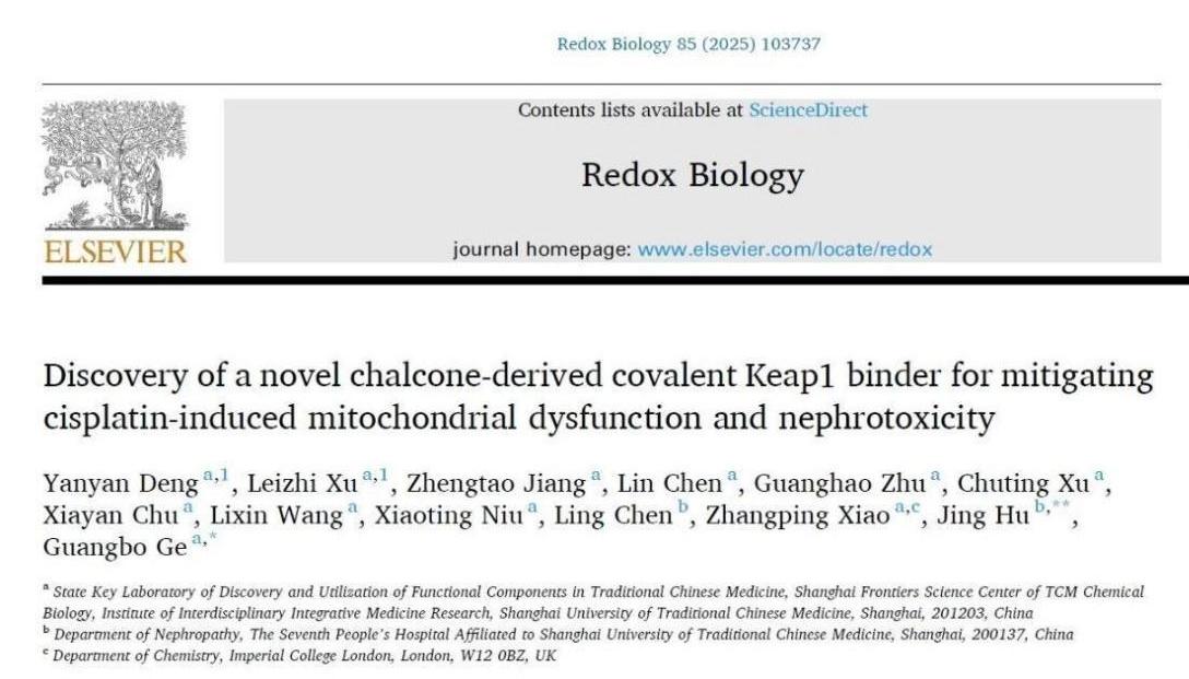 万象城官网团队研发新型肾靶向Nrf2激动剂用于缓解急性肾损伤