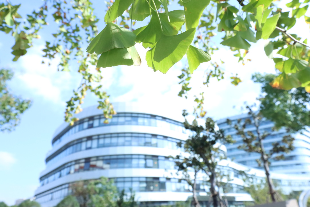 祝贺！万象城官网系统多个集体和个人获先进表彰！