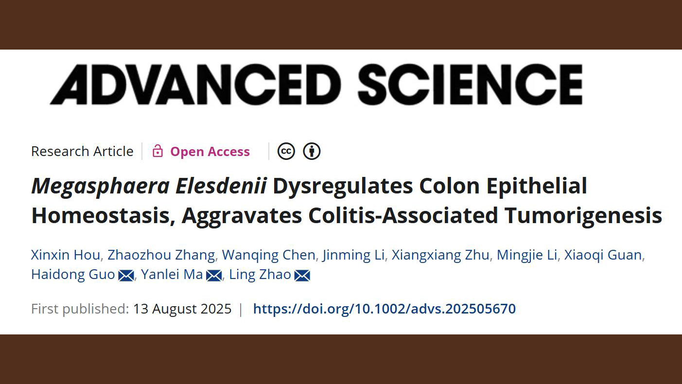 万象城官网中西医结合学院研究团队揭示肠道菌Megasphaera促进结直肠癌炎癌转化的机制